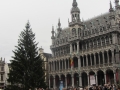 Brussel - 30 december 2013 158.JPG